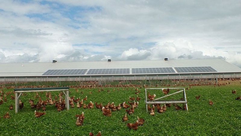 3 industrii ce pot beneficia de folosirea unor sisteme solare fotovoltaice industriale