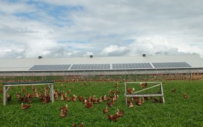 3 industrii ce pot beneficia de folosirea unor sisteme solare fotovoltaice industriale