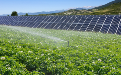 Aplicatii solare fotovoltaice pentru irigatii